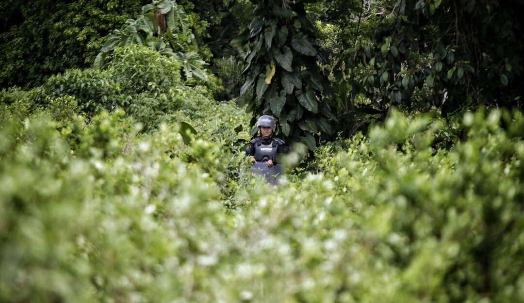 Es la tercera vez que el senador Sanguino lleva esta propuesta al Congreso