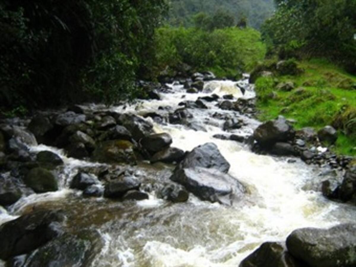 Fuertes lluvias generan fallas en el servicio de agua en Ibagué