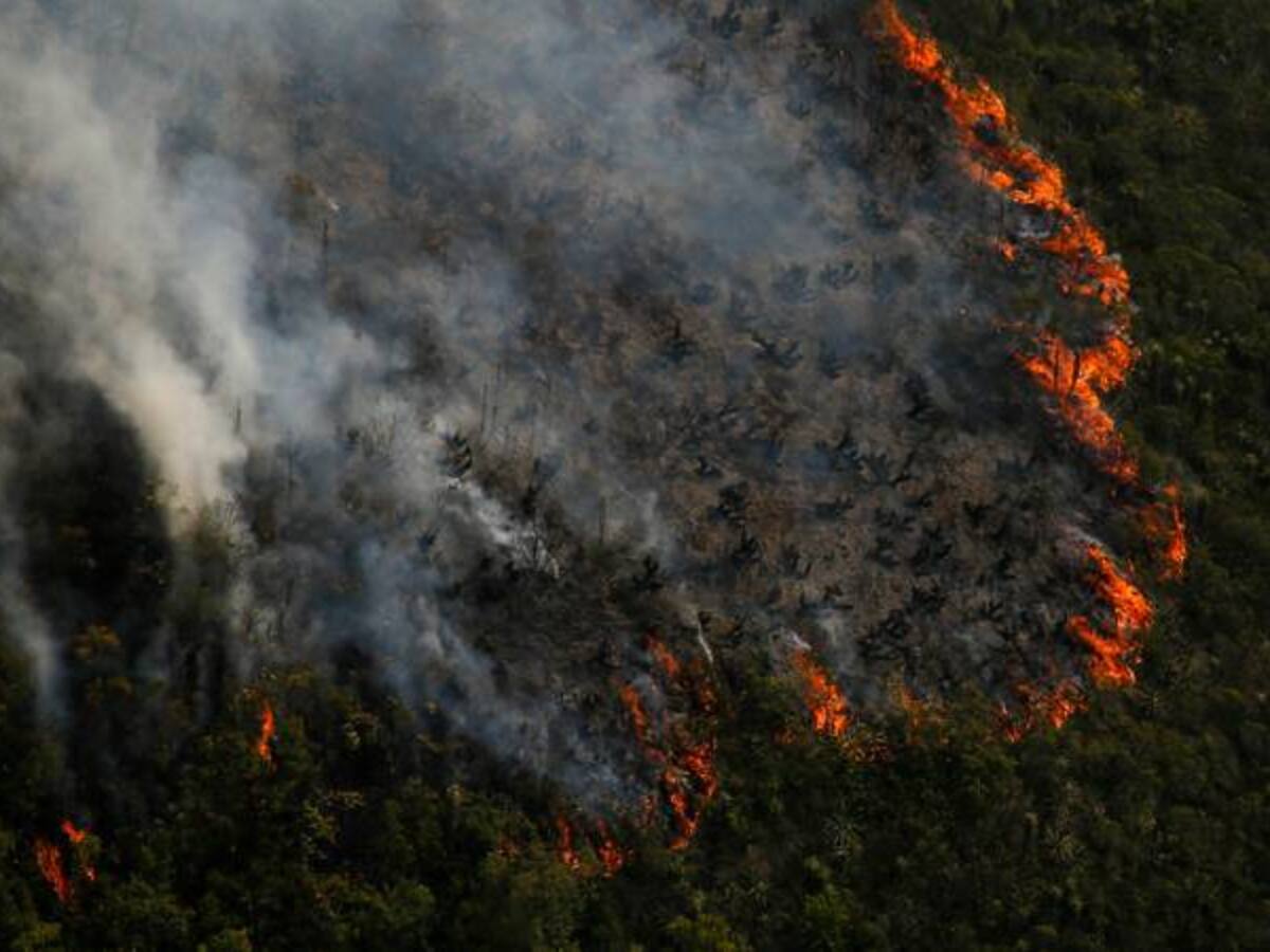 Más de 300 hectáreas afectadas por incendio forestal en Nobsa, Boyacá
