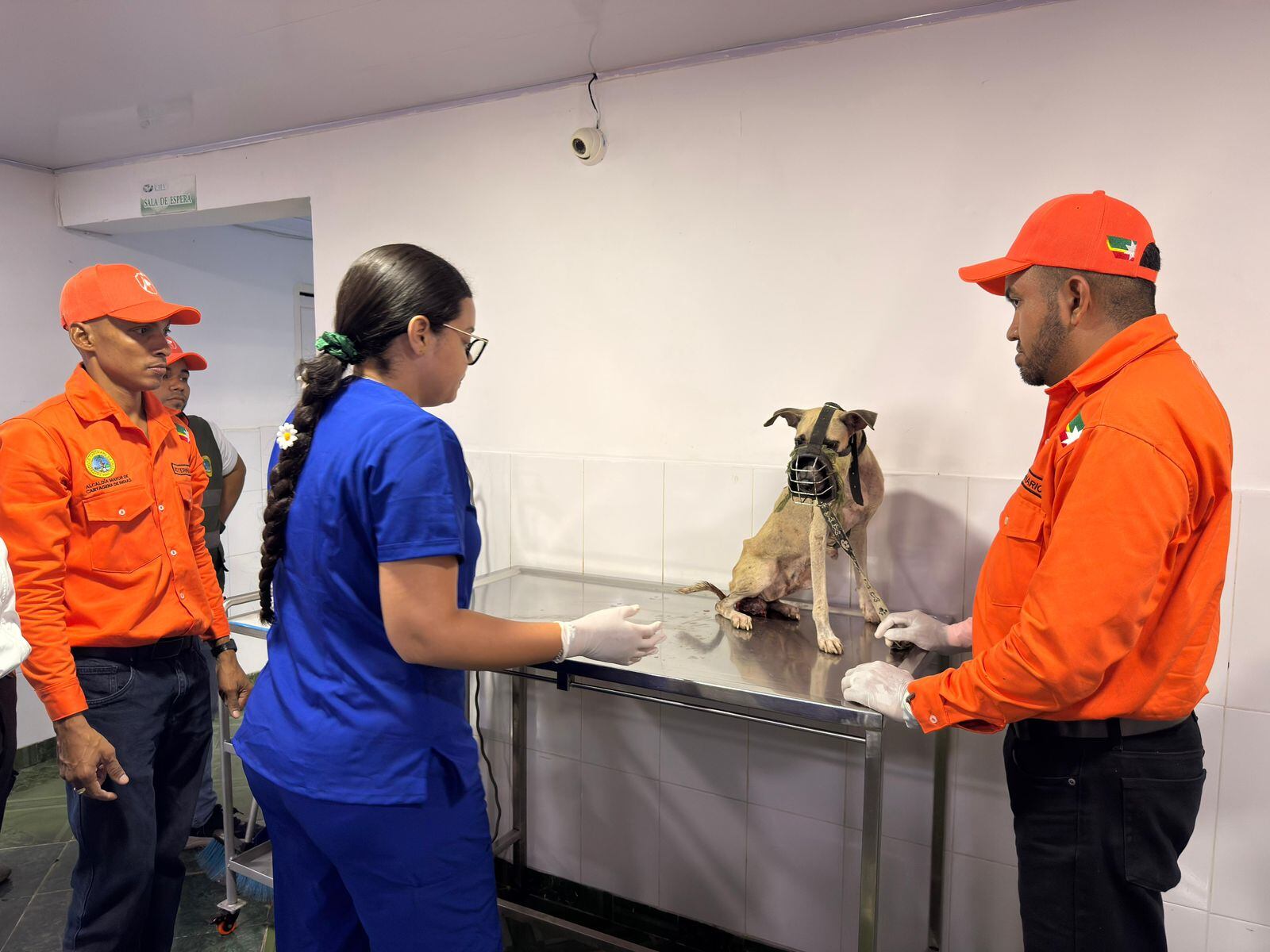 Alcaldía de Cartagena