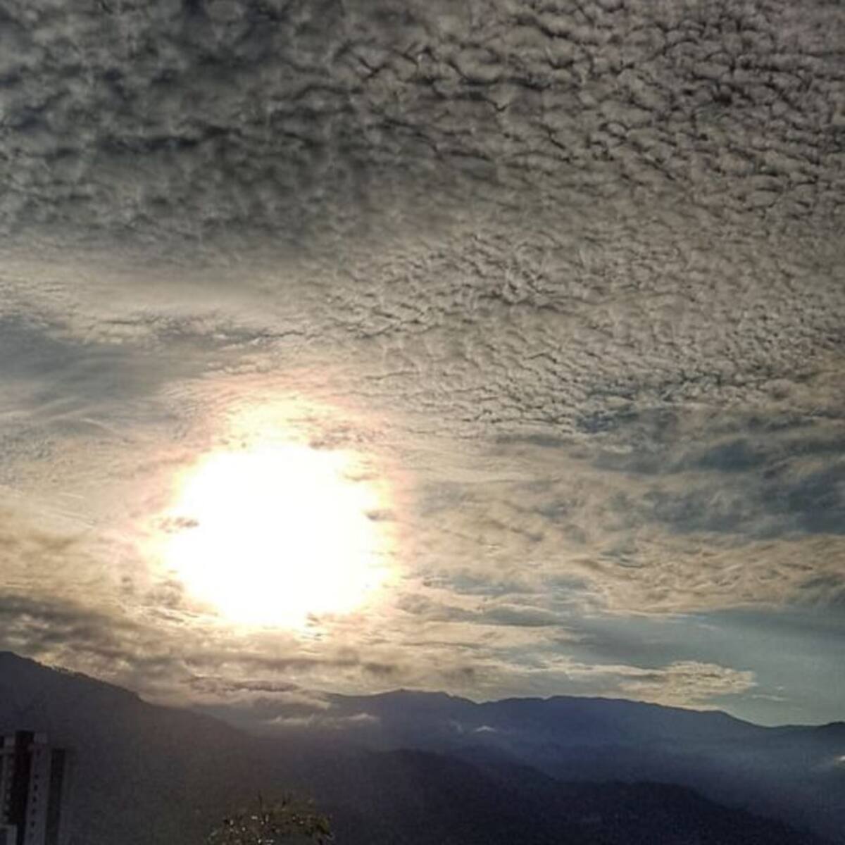 Miércoles 23 de Febrero, las principales noticias de Armenia y Quindío