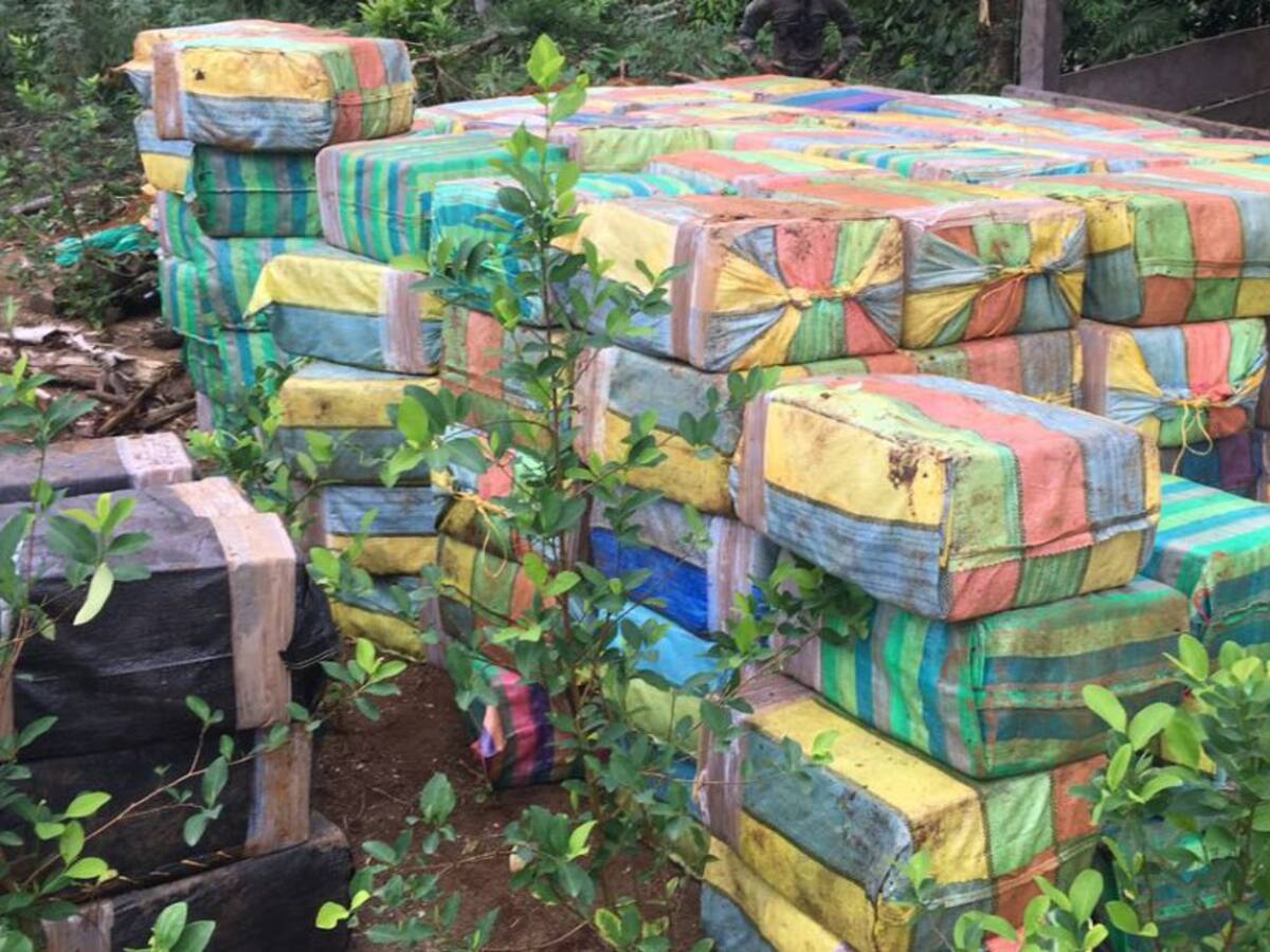 Colombia, certificada en lucha antidrogas, pero con advertencia de EE.UU.