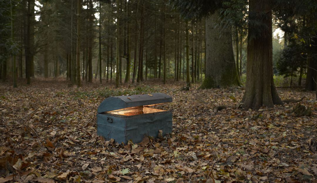 Imagen de referencia