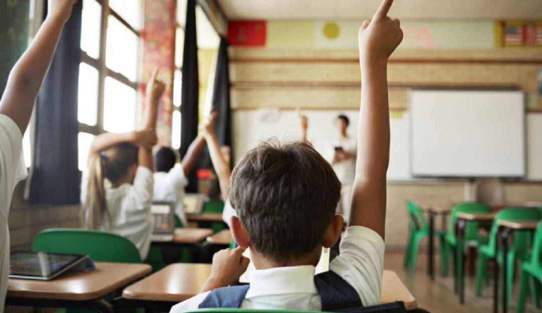 Imagen de referencia.