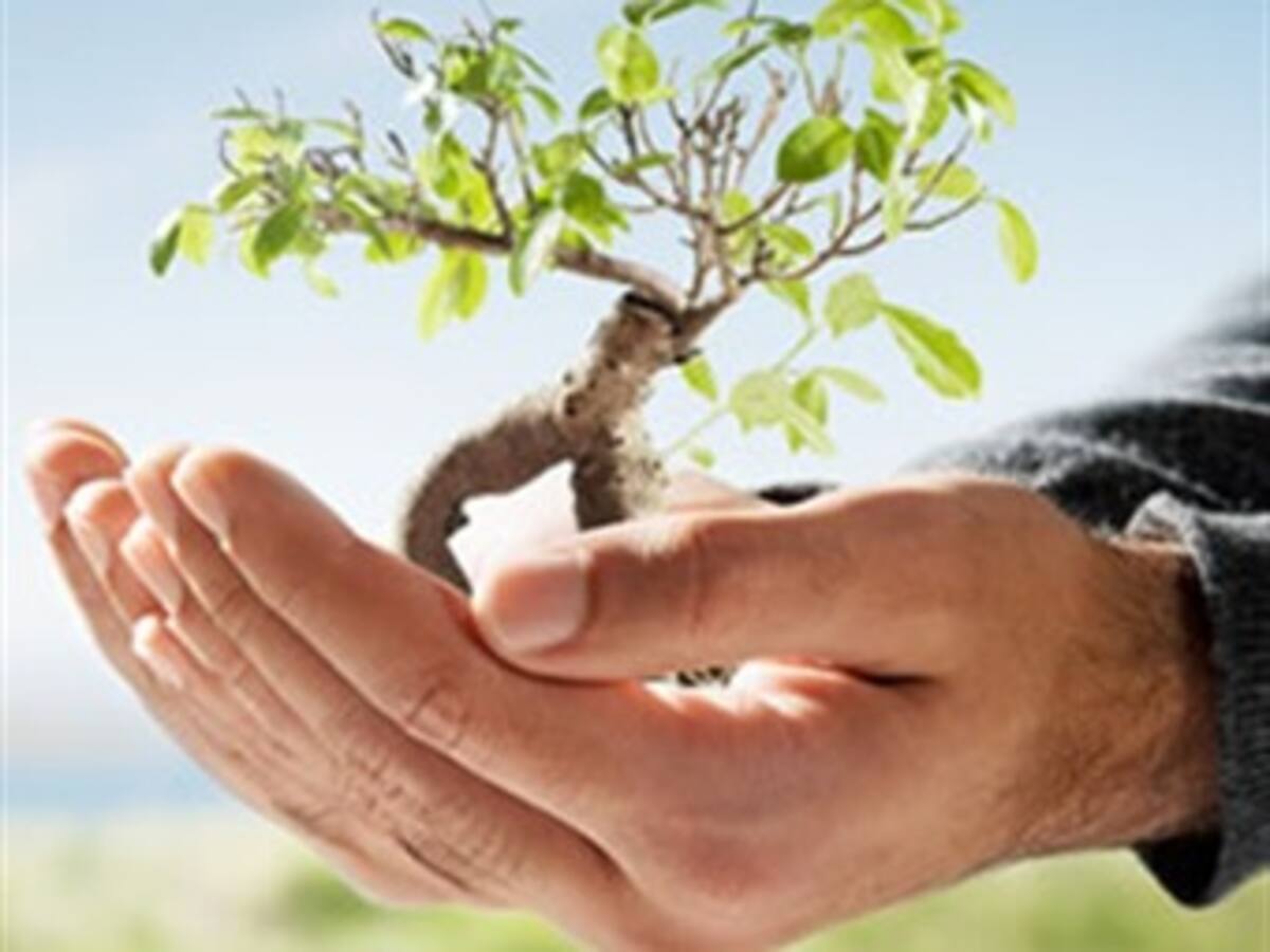 Brasil y EE.UU. impulsarán proyectos modelo de sostenibilidad urbana