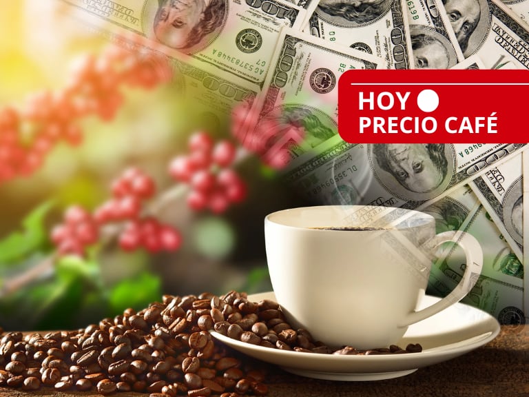 Precio del café HOY 17 de junio en Colombia: a la baja el valor oficial de la carga, según FNC