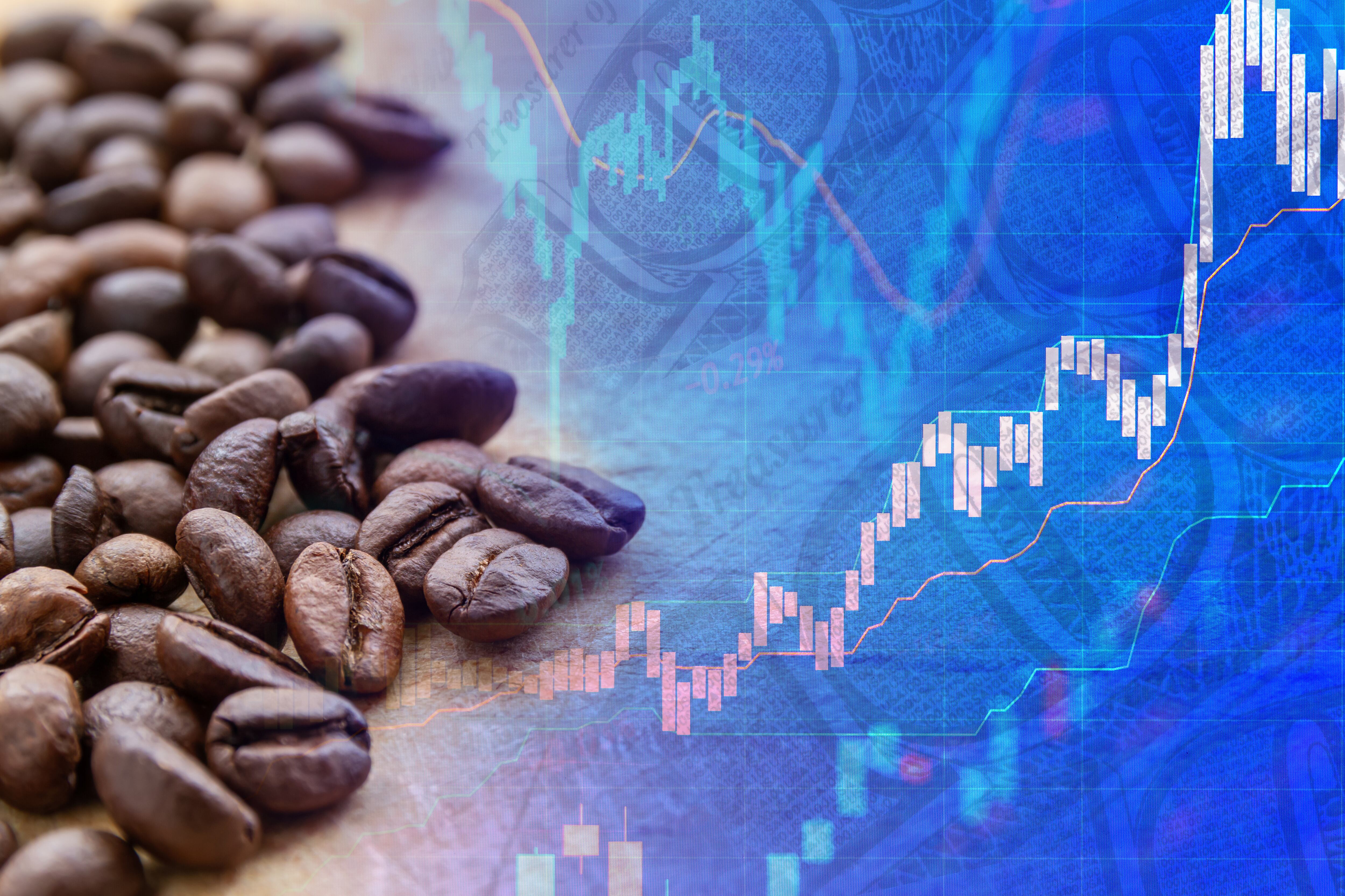 Imagen de referencia a precio del café/ Getty Images