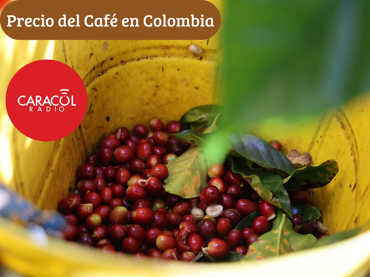 Precio del café HOY 5 de marzo en Colombia según la FNC: Se sigue presentando leve aumento