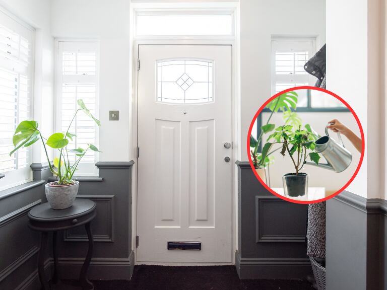 Entrada de una casa con una planta y de fondo alguien regando otra planta (Fotos vía Getty Images)