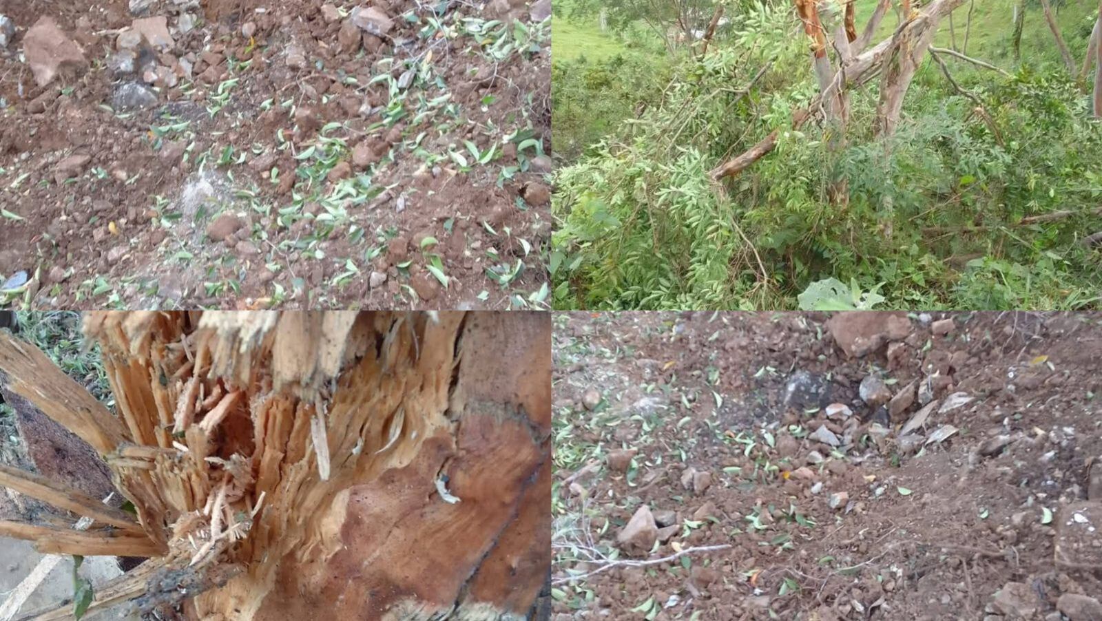 Explosivos en la vereda El Valle, Hacarí. / Foto: Cortesía.