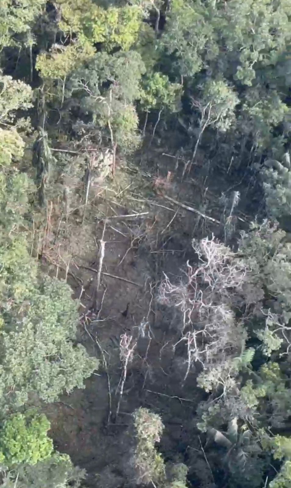 Bombardeo en el Guaviare- foto Mindefensa