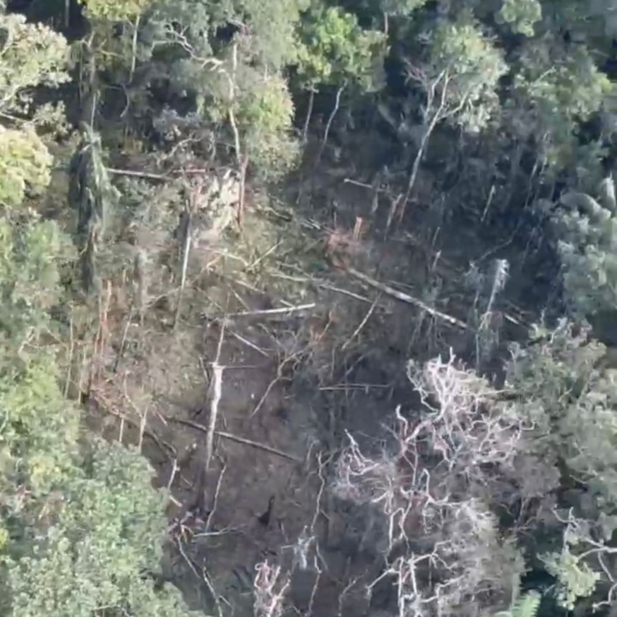 Los bombardeos son un instrumento del que no puede renunciar la institucionalidad: gobernador Rendón