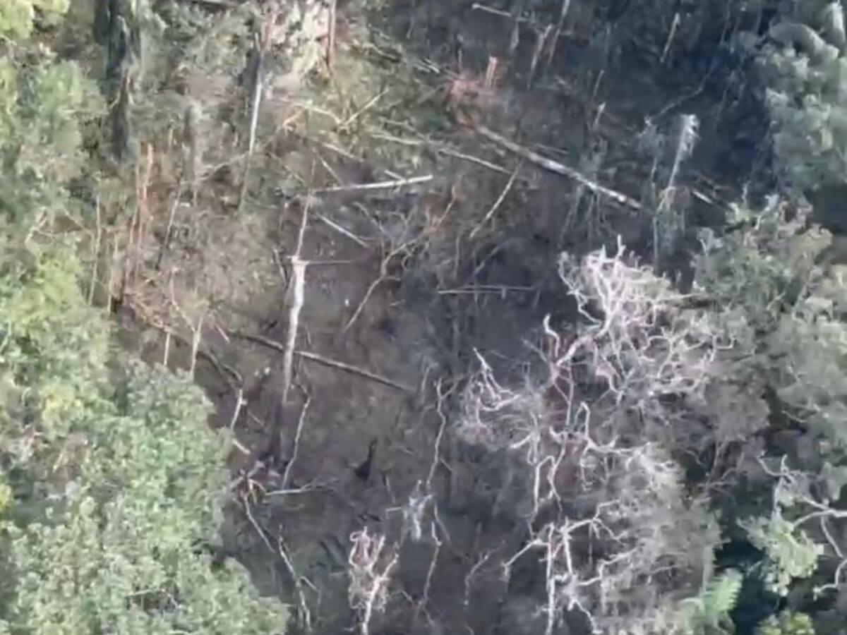 Los bombardeos son un instrumento del que no puede renunciar la institucionalidad: gobernador Rendón