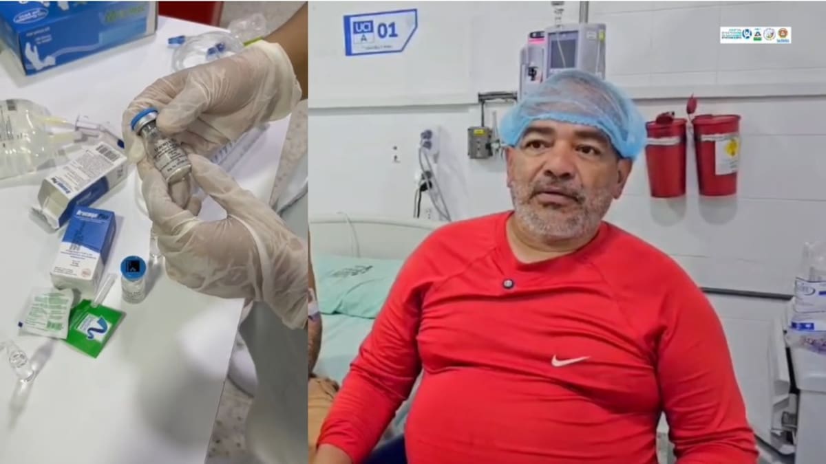 Dado de alta paciente que fue víctima de araña