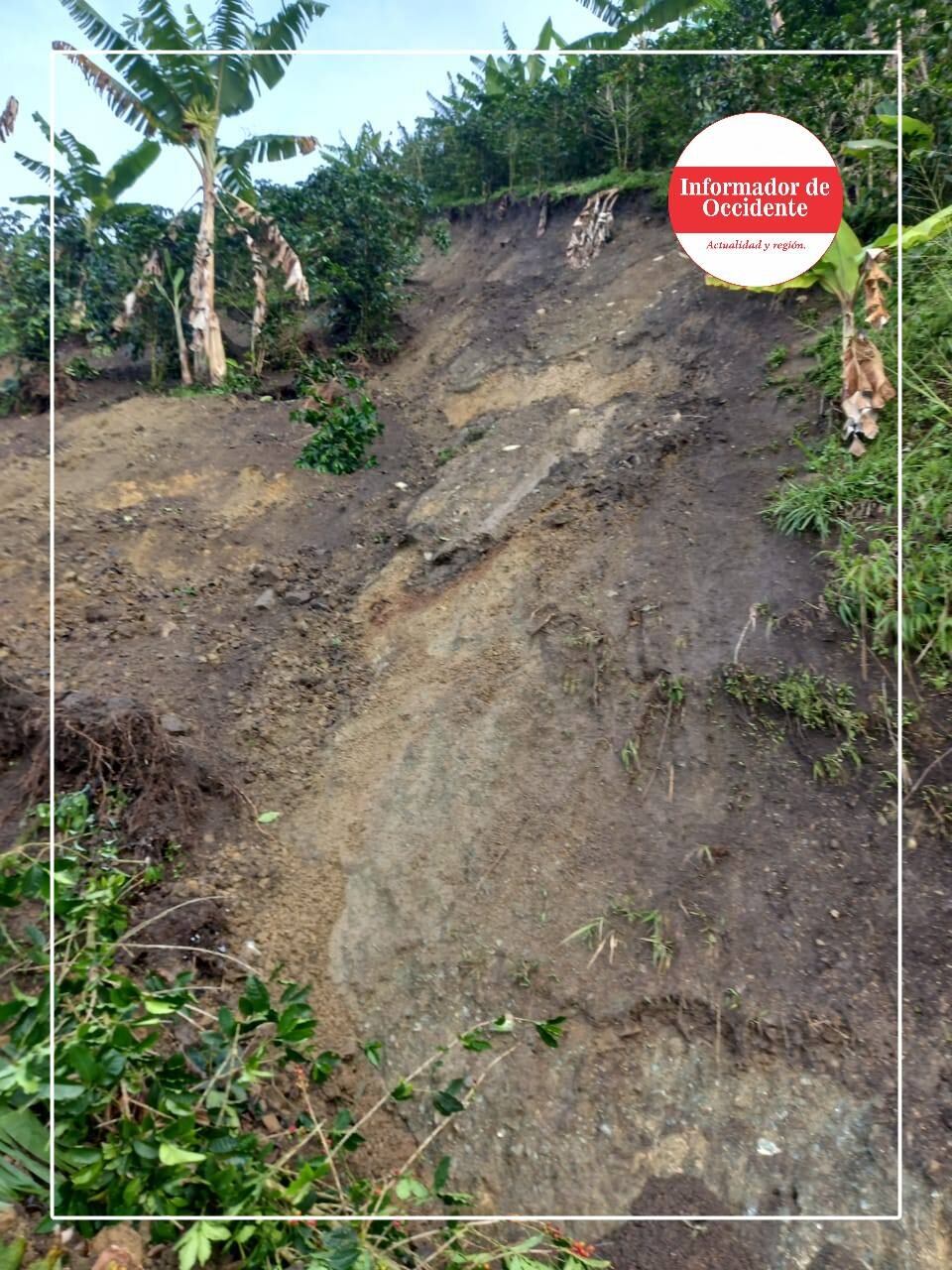 Foto de informador de Occidente