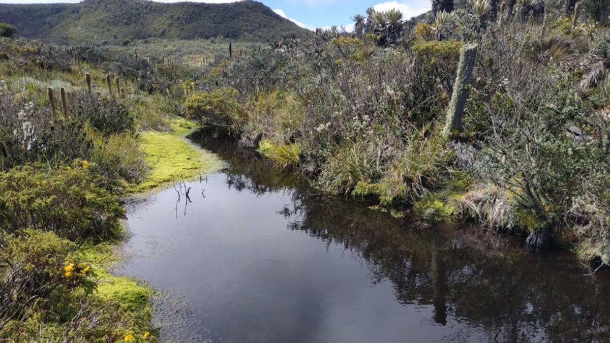 Procuraduría pide al Distrito acciones urgentes para mejorar niveles de embalses al 2025