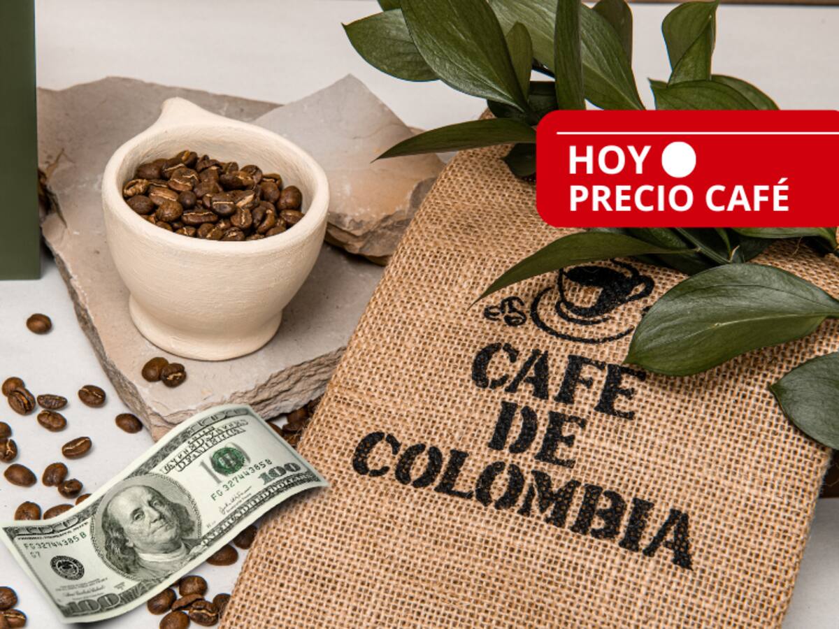 Bajó el precio del café HOY, 28 de agosto, según la Federación Nacional de Cafeteros