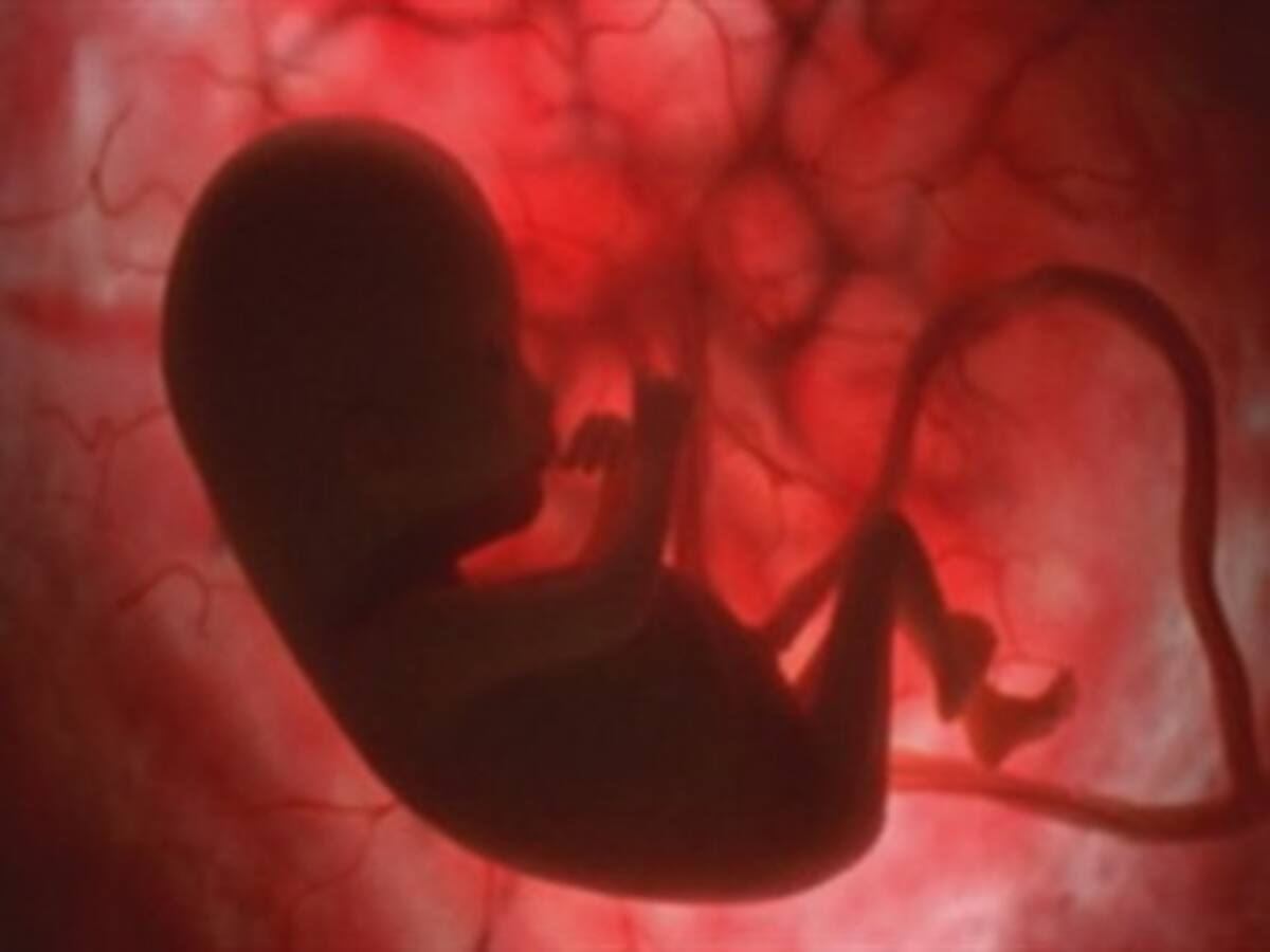 Dakota del Norte aprueba ley contra el aborto