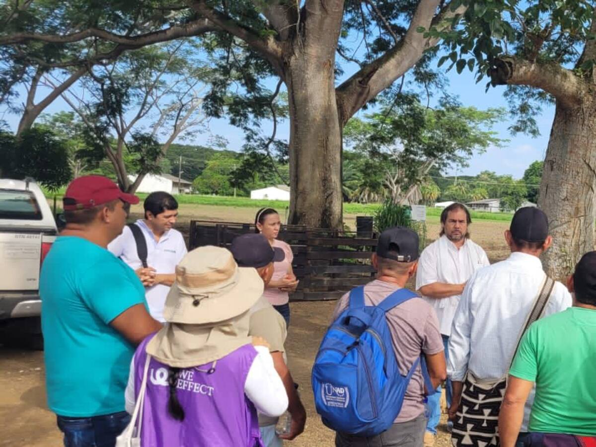 Firmantes de la paz en Bolívar se capacitaron en ganadería sostenible