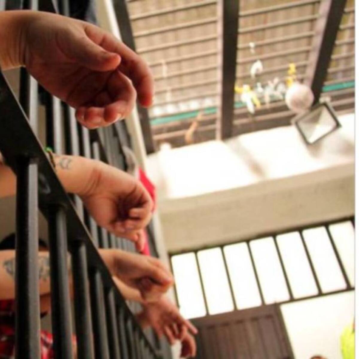 Levantan huelga de hambre en la Cárcel de Máxima Seguridad de Cómbita