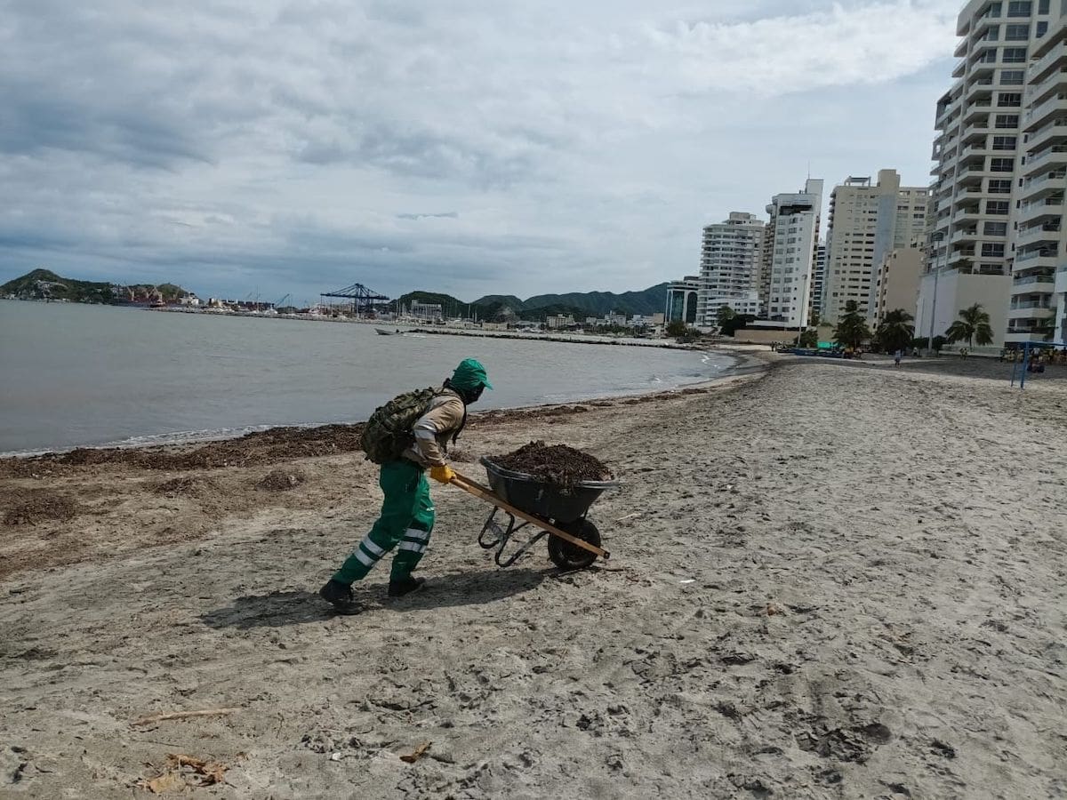 Positivas jornadas de limpieza de playas y calles en Santa Marta
