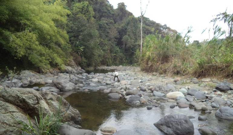 Actualmente el río Quindío registra el caudal más bajo de los último años debido al fenómeno del niño.