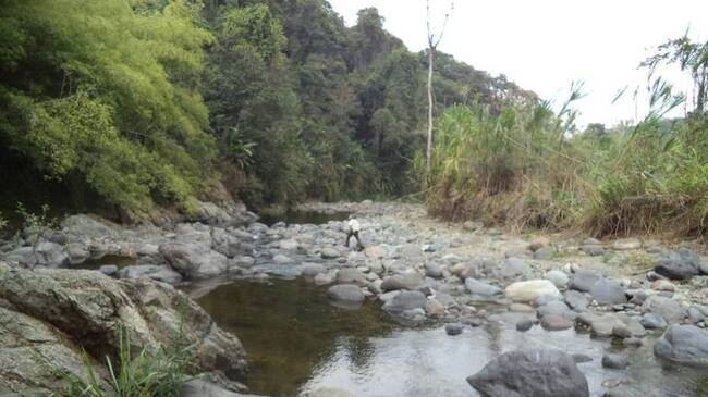 Actualmente el río Quindío registra el caudal más bajo de los último años debido al fenómeno del niño.