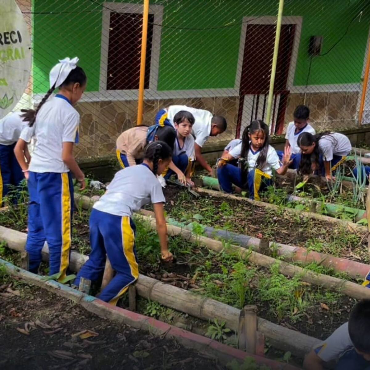 Estudiantes de un colegio de Armenia son investigadores sociales del Paisaje Cultural Cafetero