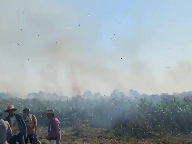 Incendio forestal en Rionegro