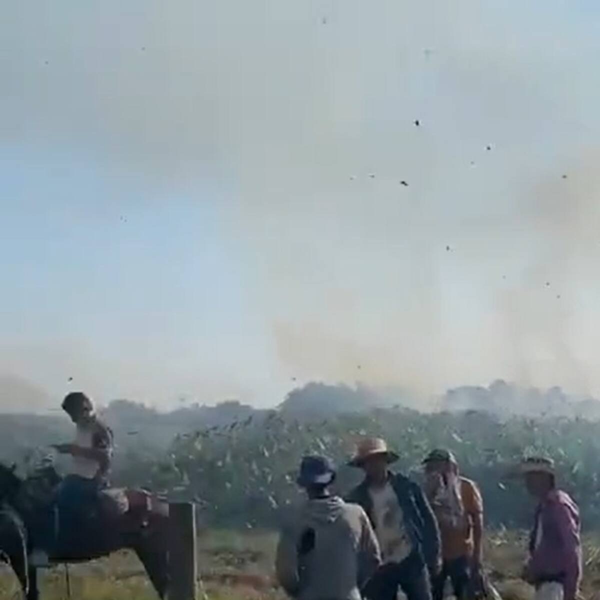 Incendio forestal en Rionegro consumió más de 20 hectáreas de vegetación