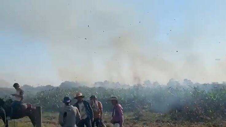 Incendio forestal en Rionegro