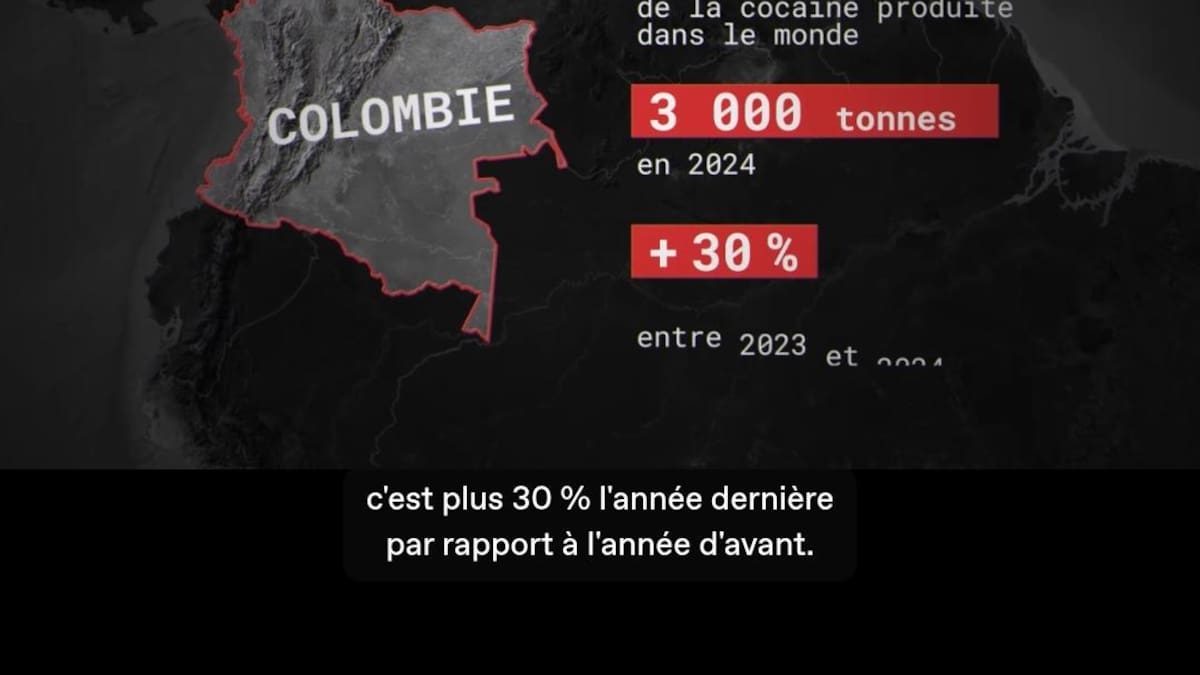 “Paz total” reactivó producción de cocaína: diario francés Le Monde