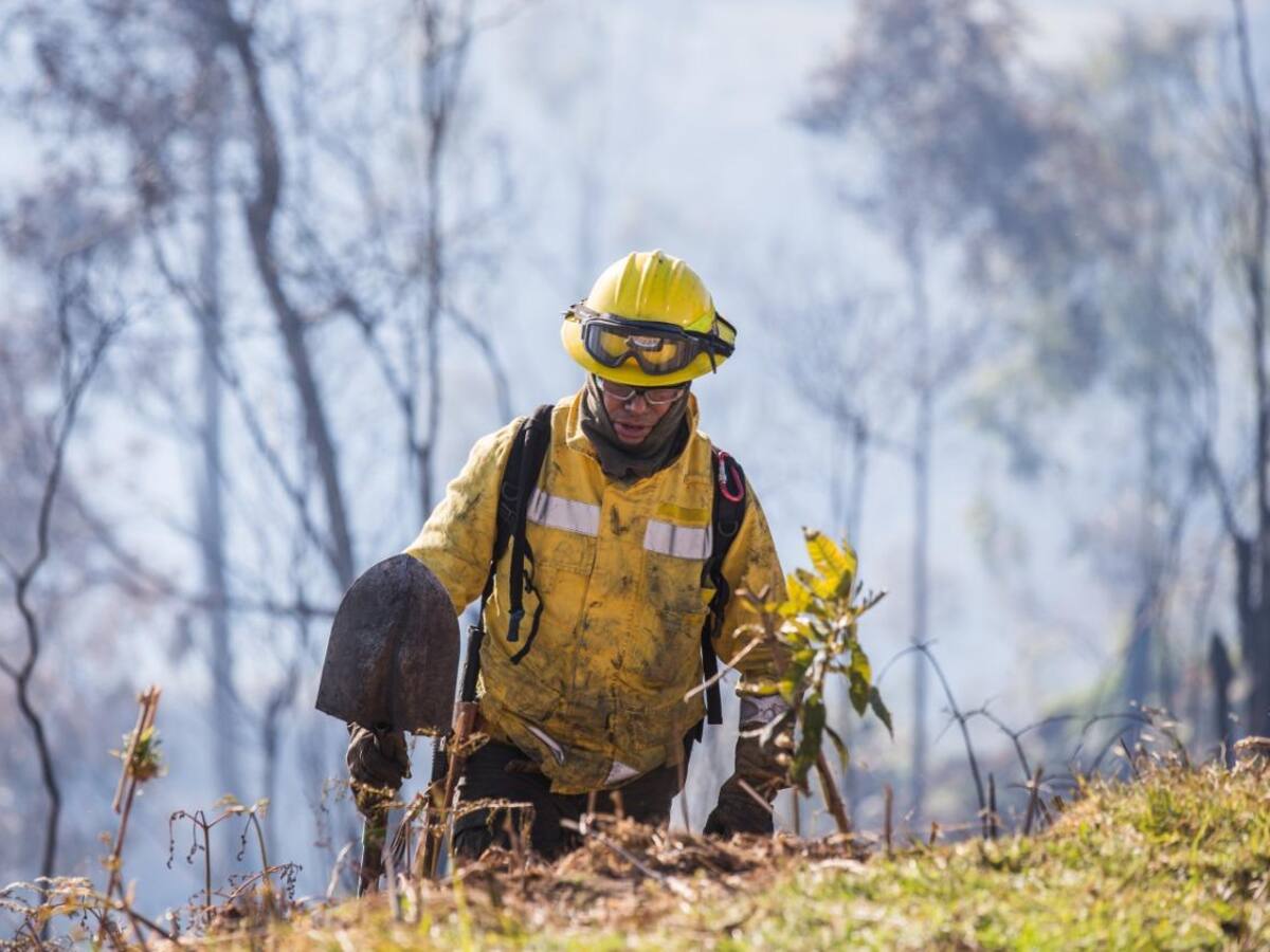Bomberos de Medellín intensifican vigilancia en reservas naturales ante reducción de lluvias