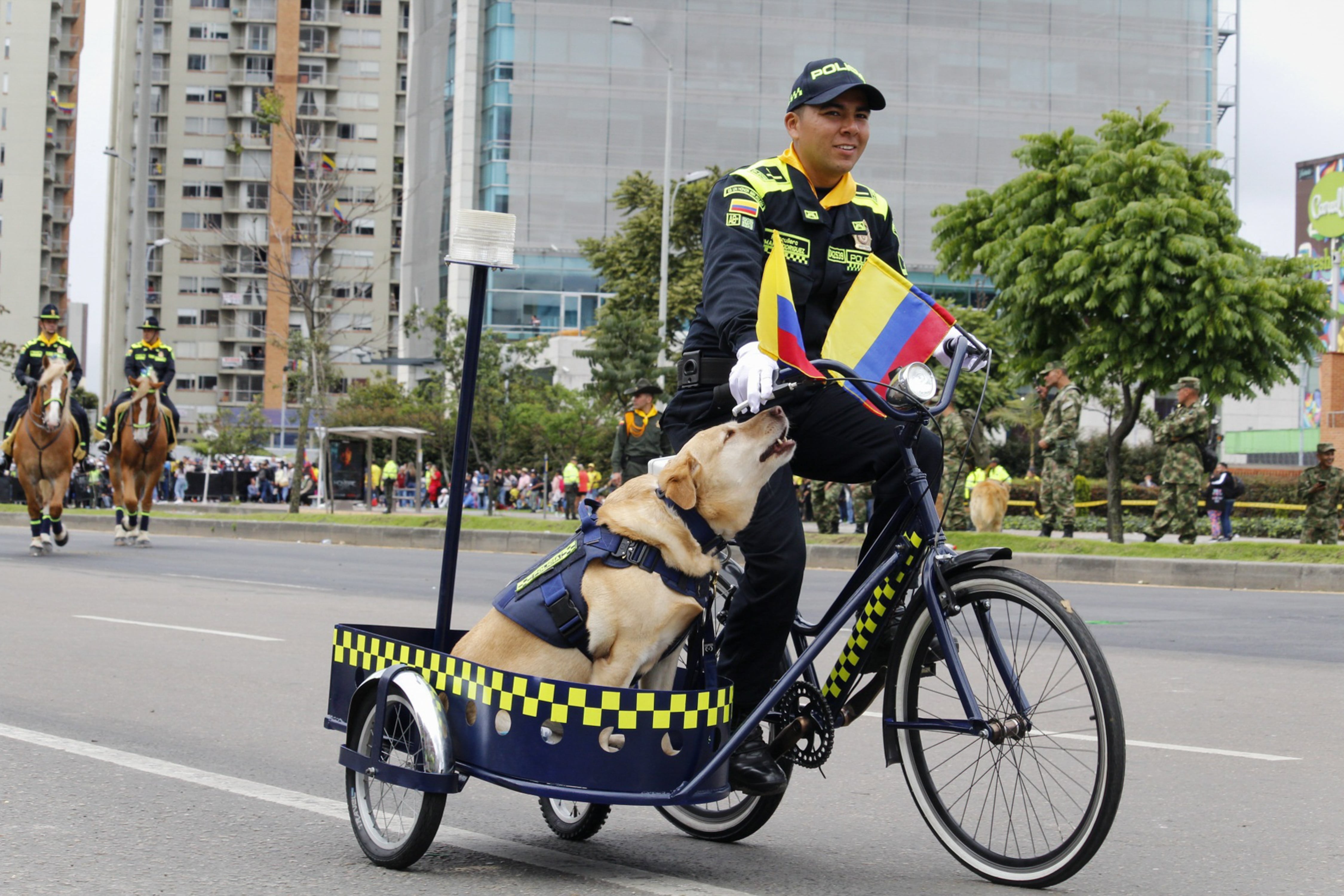 Perro acompañando a un Policía durante un desfile en Bogotá (Foto vía Getty Images).