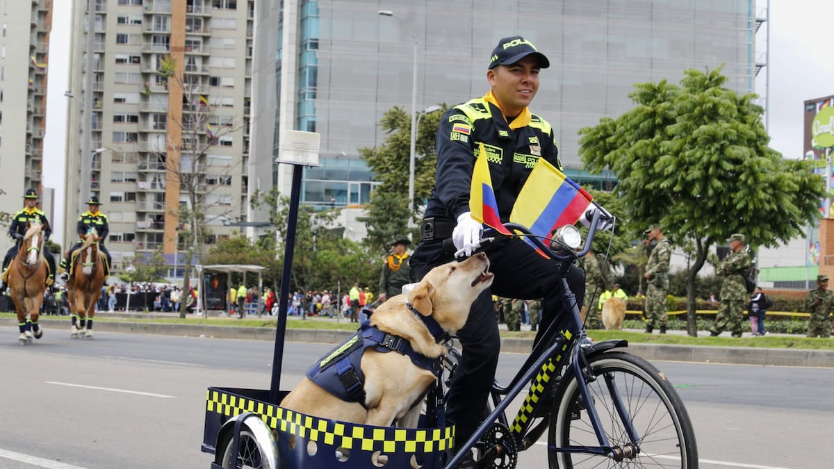 Las 6 razas de perros más utilizadas para las Fuerzas Militares: ¿qué cualidades tienen?