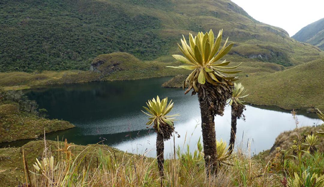 Parque Nacional Natural Las Hermosas - Gloria Valencia de Castaño.