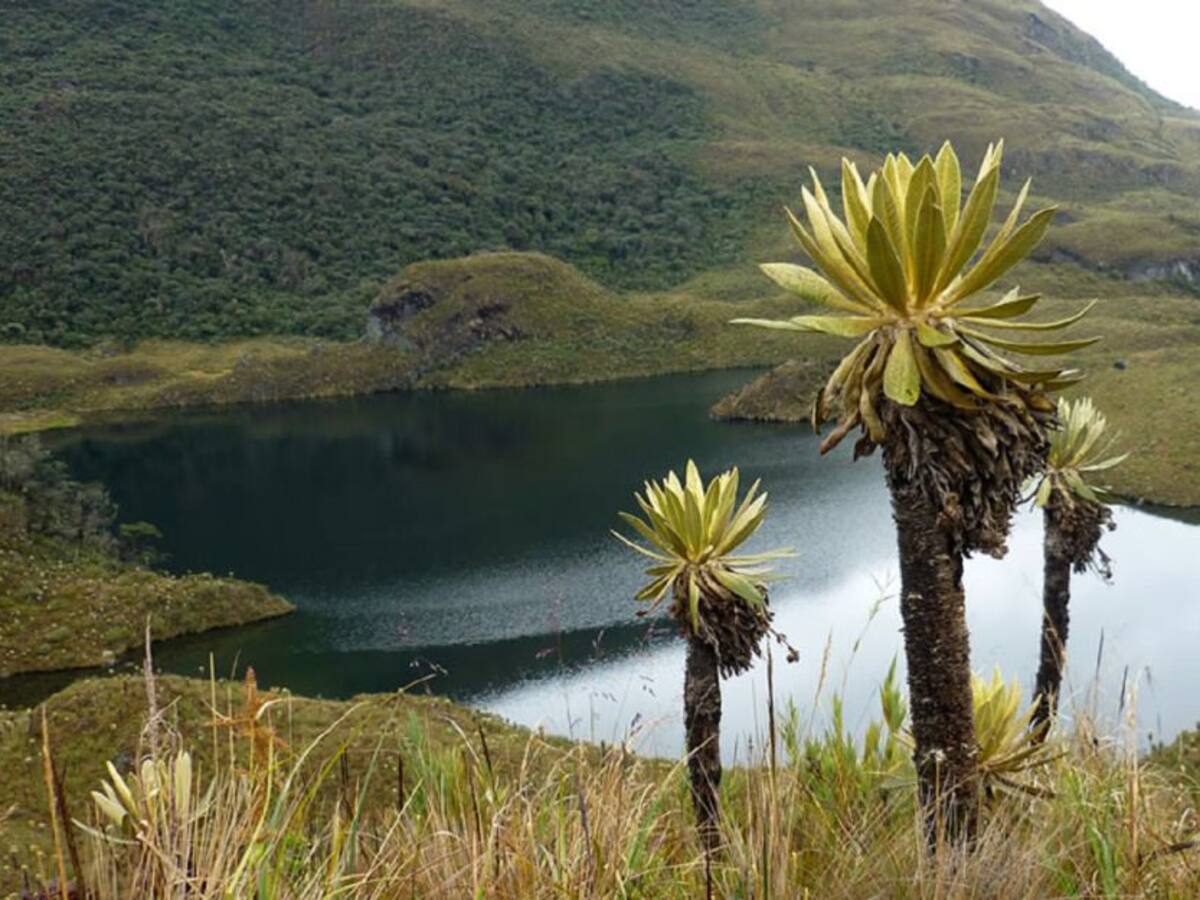 Parque Las Hermosas no será sujeto de derechos, dice Corte Suprema