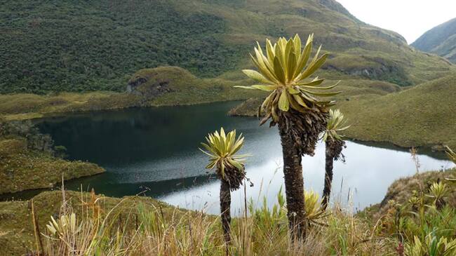 Parque Nacional Natural Las Hermosas - Gloria Valencia de Castaño.