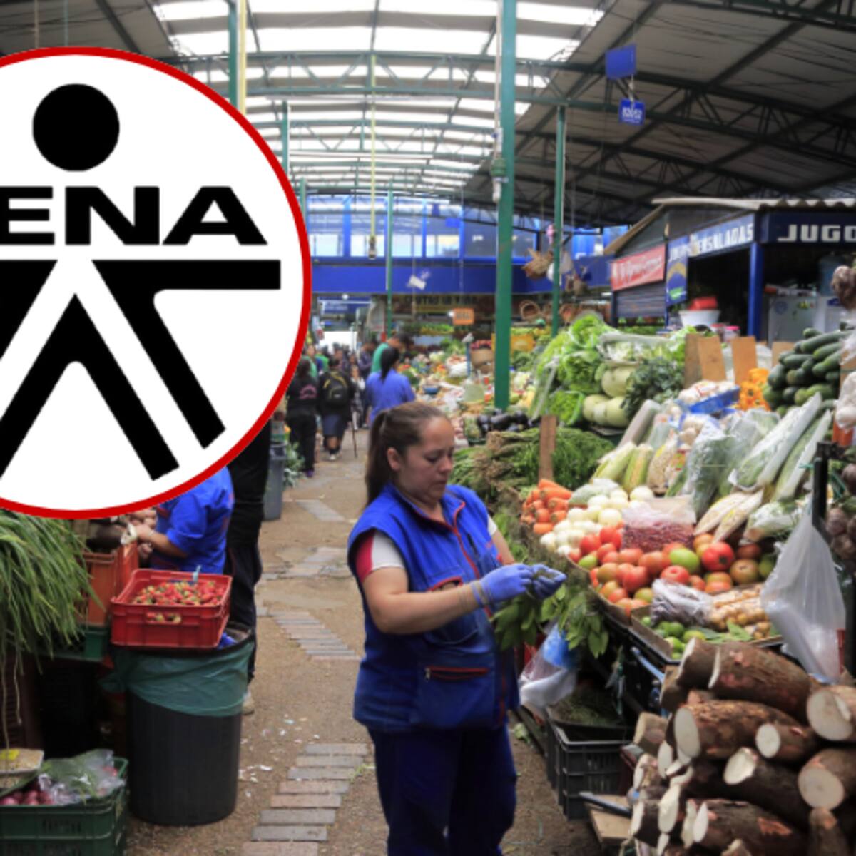 SENA abre 12 convocatorias con $282 mil millones de capital semilla para impulsar emprendimientos