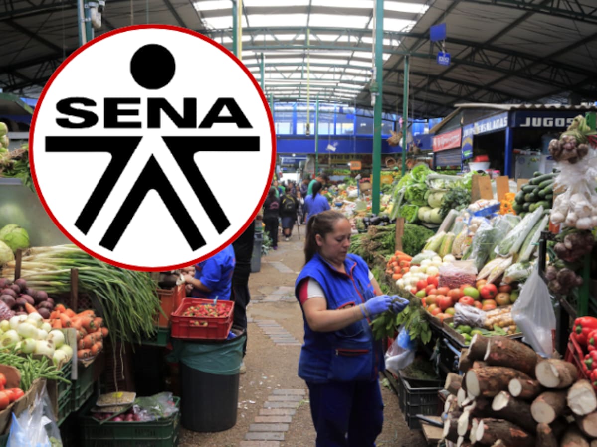 ¿Trabaja en comercio informal o popular? Puede certificar su experiencia laboral con el SENA
