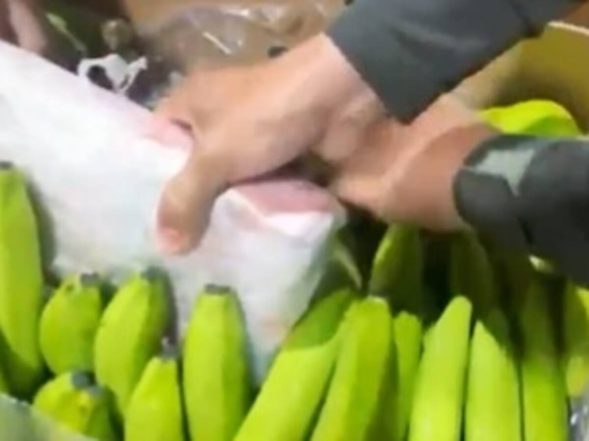 Decomisan en el puerto de Santa Marta media tonelada de cocaína avaluada en €20 millones