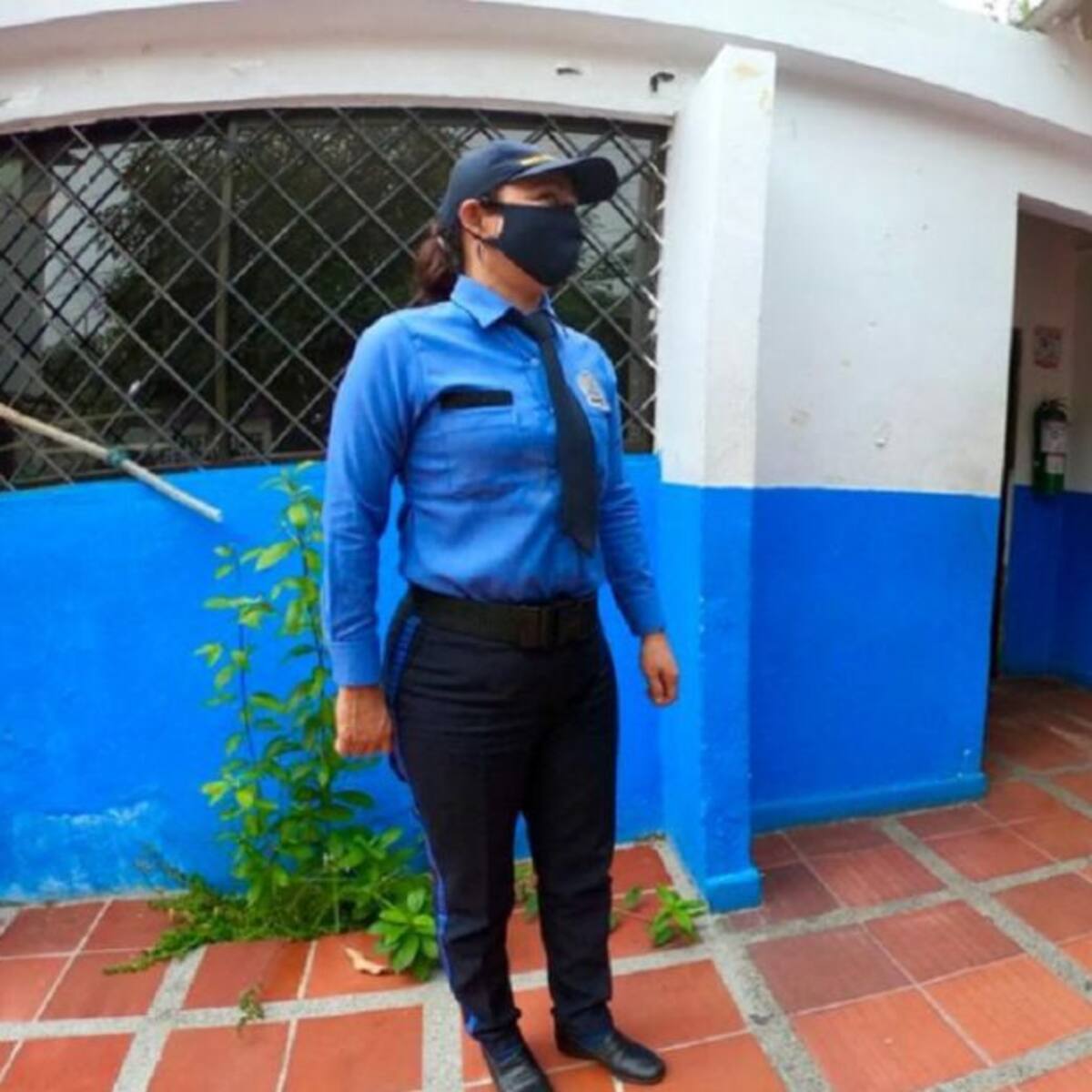 Empresas de vigilancia falsas estarían ofreciendo servicios para robar zonas residenciales