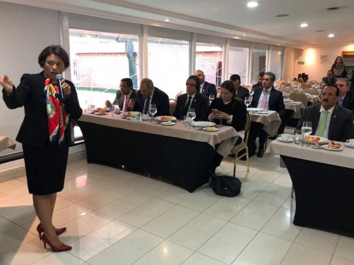 Congresistas se declaran escépticos y piden cita a Duque por Electricaribe