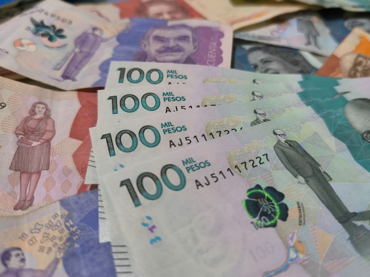 ¿Cuánto pagará el Estado por cada voto válido? CNE fijó la reposición en $8.287