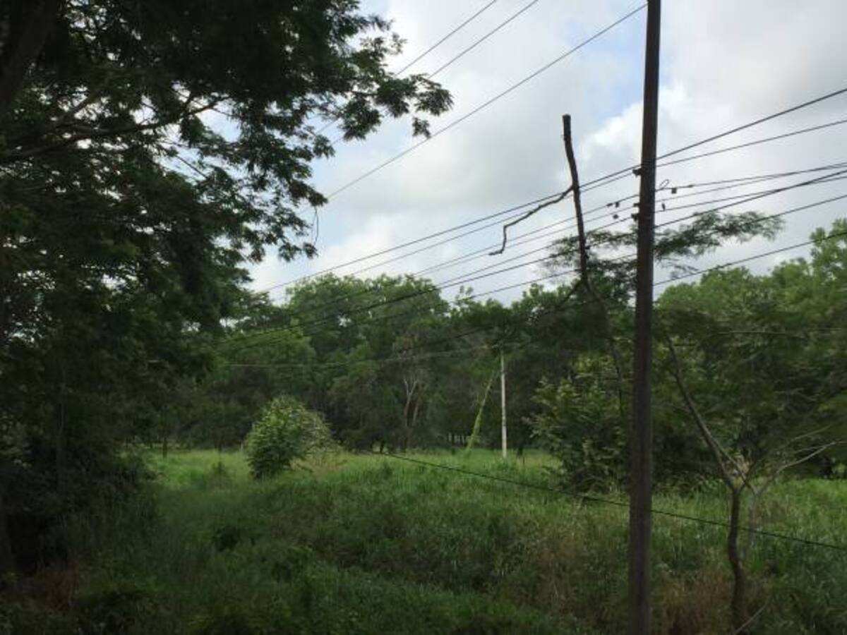 Vendavales no afectarán el servicio de energía: gerente de Electricaribe