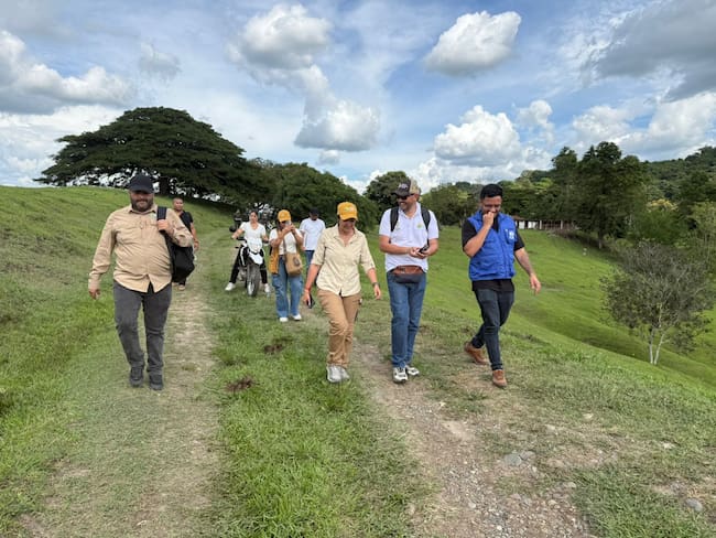 536 hectáreas del Cartel Norte del Valle fueron entregadas a la Minga Cali, para producir café, maíz y cítricos.