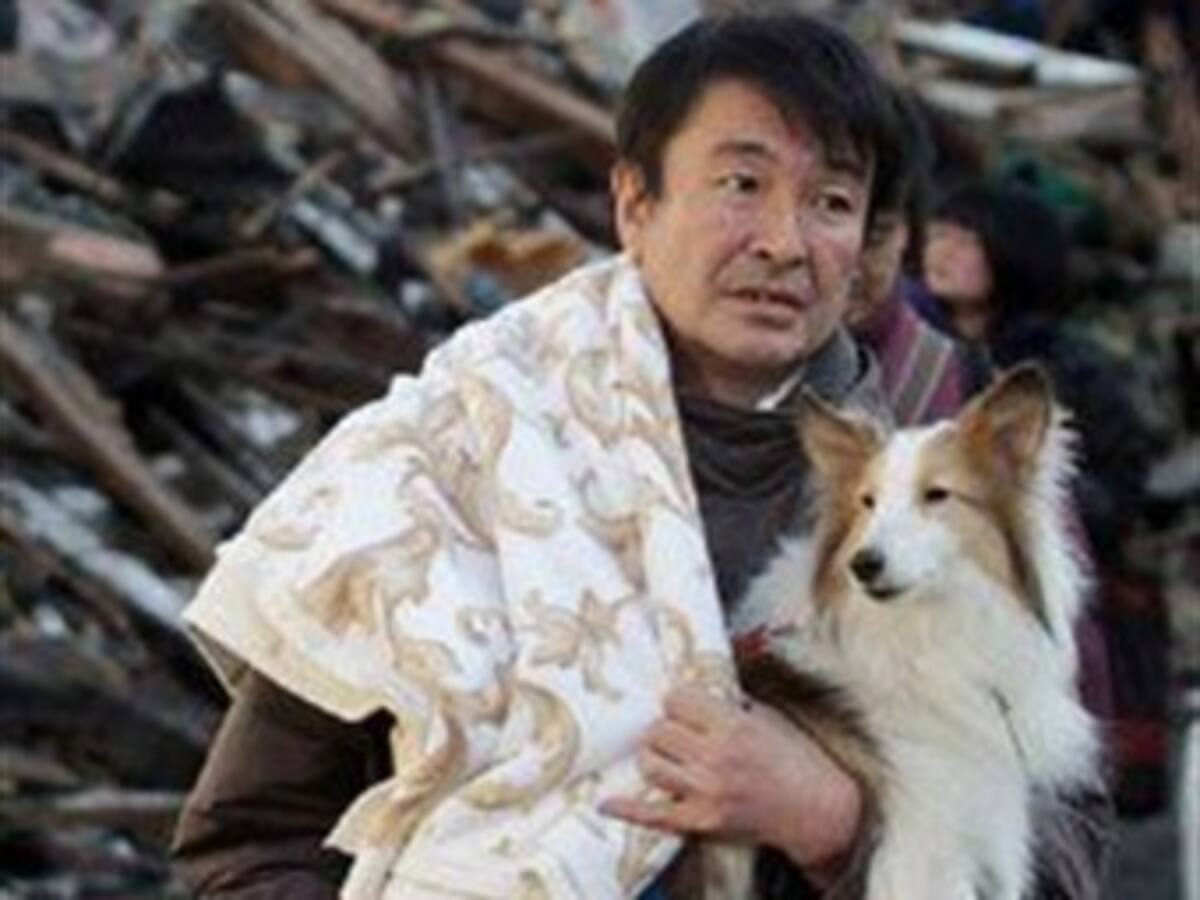 150.000 dólares para los animales afectados por terremoto en Japón