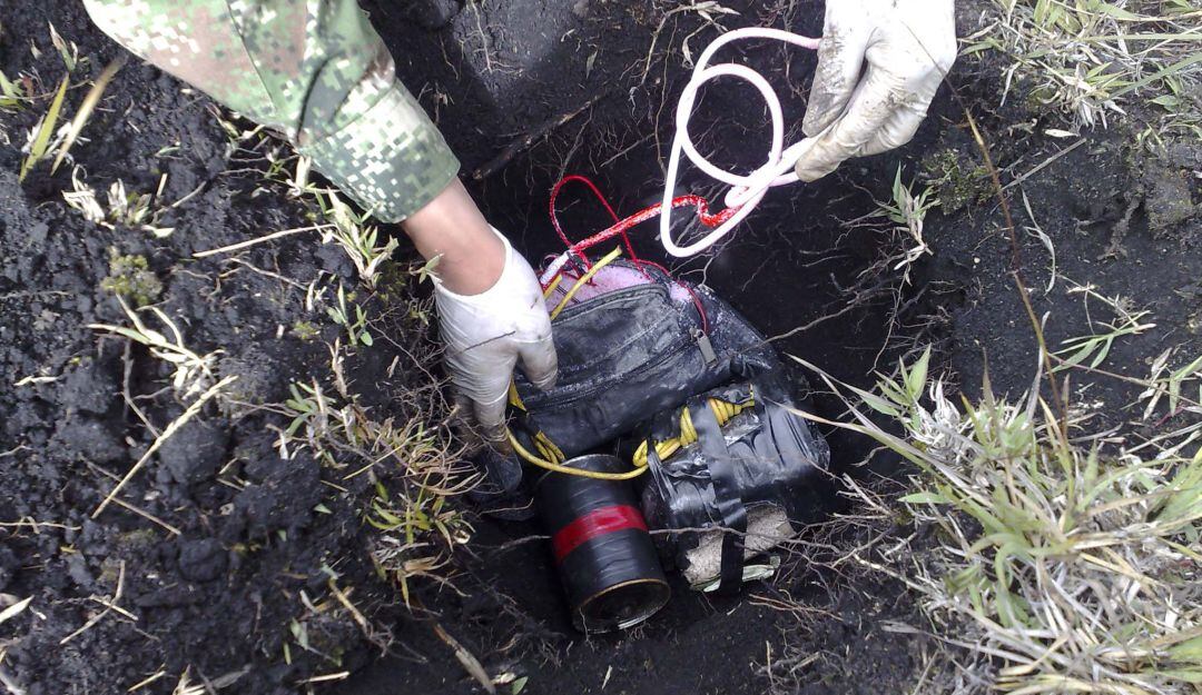 Imagen de referencia