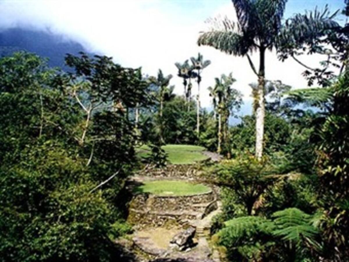 'Flashmob' por la biodiversidad se toma las ciudades colombianas