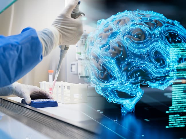 El agente de inteligencia artificial, desarrollado en la Universidad de Standford, puede adelantar tareas de manera autónoma para colaborar en investigaciones biomédicas.
(Foto: Caracol Radio / Getty)